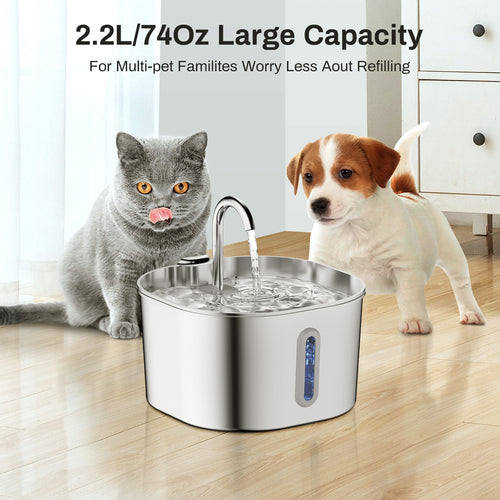 Pawqua - 2.2L Fountain