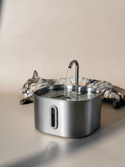 Pawqua™ 2.2L Stainless Steel Fountain + 2-Month Filter Kit